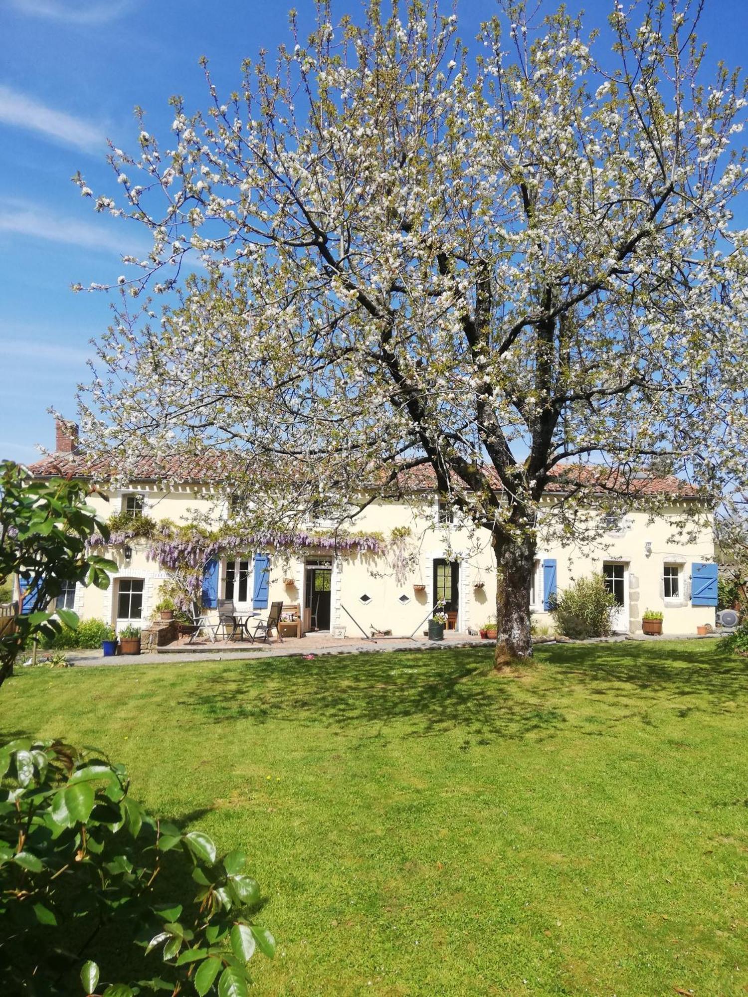 Papillons B&B - Beauty, Comfort And Peace 25 Mins From Puy Du Fou Montournais Dış mekan fotoğraf